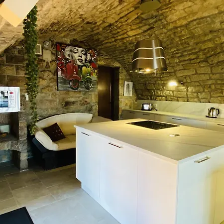 Le Parc De La Tricherie Apartament Onet-le-Château