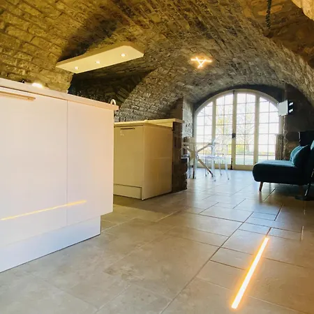 Apartament Le Parc De La Tricherie Onet-le-Château